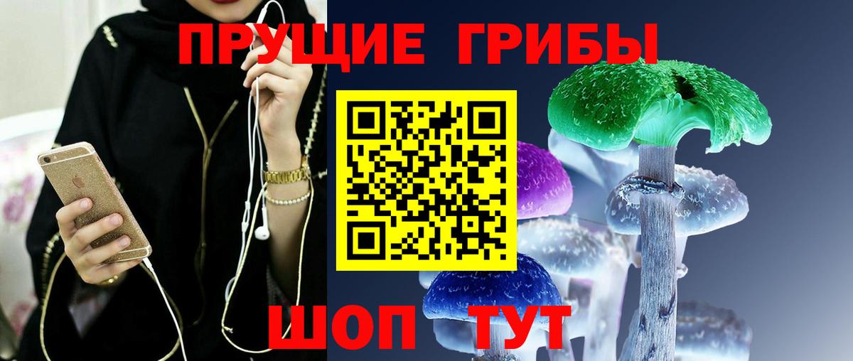 Псилоцибиновые грибы Psilocybe  Галлюциногенные грибы Psilocybine cubensis  Ухта  Вход с VPN 